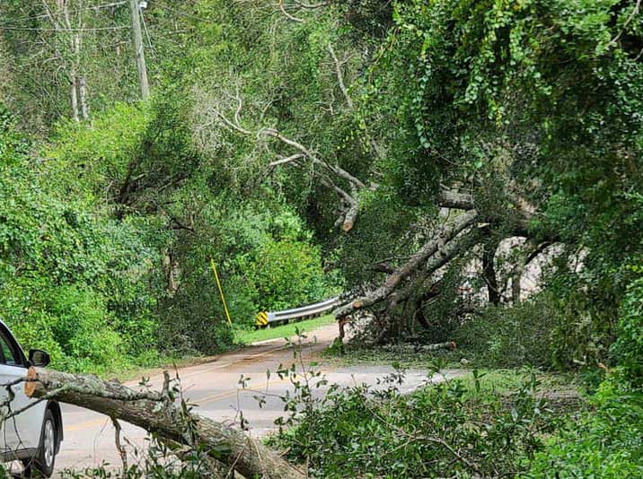 Storm Damage